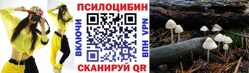 Псилоцибиновые грибы мицелий  Усть-Катав 